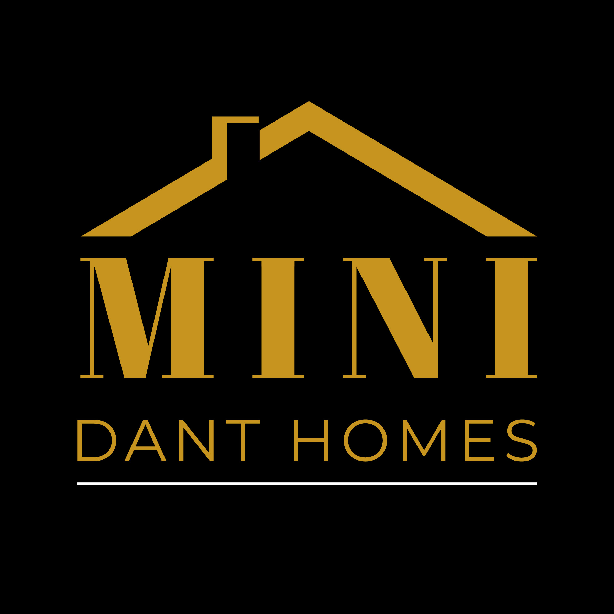 Dant Homes Mini logo